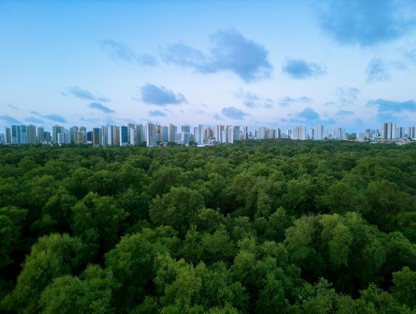 La solution pour lutter contre la pauvreté est-elle dans l'éducation ?