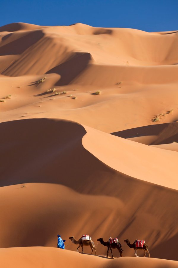 Les djellabas femmes : Élégance et tradition réunies